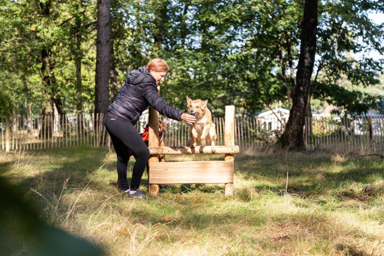 Topparken - Recreatiepark Beekbergen Kültér fotó